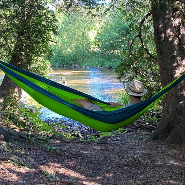 Hidden Wild Hammock