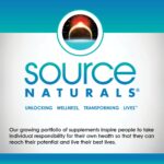 Source Naturals Niacin 100 mg Vitamin B-3, Non-GMO - 250 Tablets